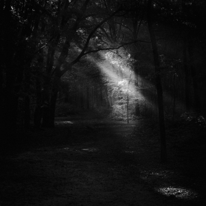 MM_Nature_DSC00705