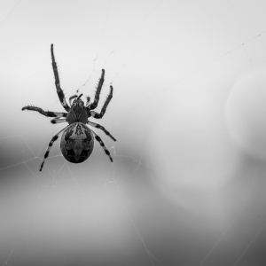 MM_Nature_DSC_1811