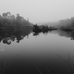 MM_Nature_IMG_3882
