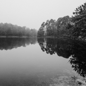 MM_Nature_IMG_3887