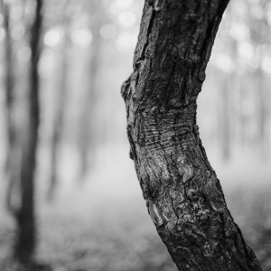 MM_Nature_IMG_7010