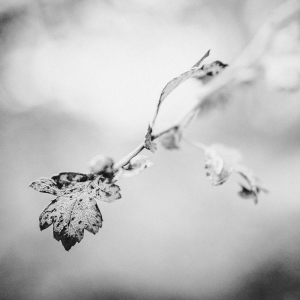 MM_Nature_IMG_7018