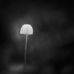 MM_Nature_IMG_8076