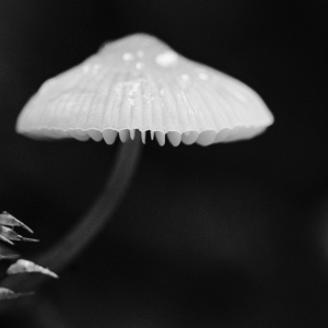 MM_Nature_P1039587