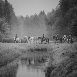 MM_Other_DSC00464