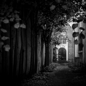 MM_Urban_Z05_1133